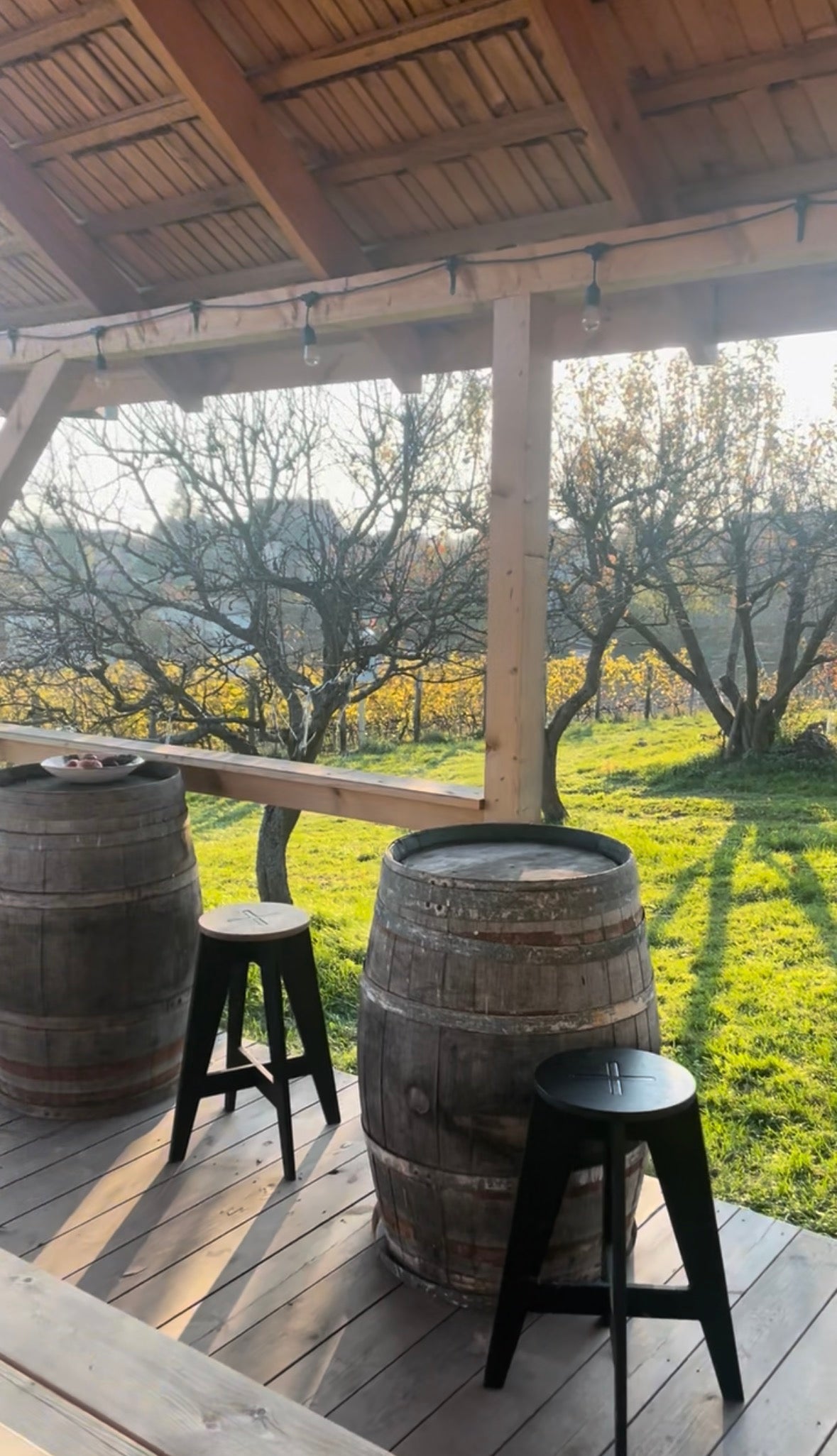 Zwiedzanie winnicy i degustacja win