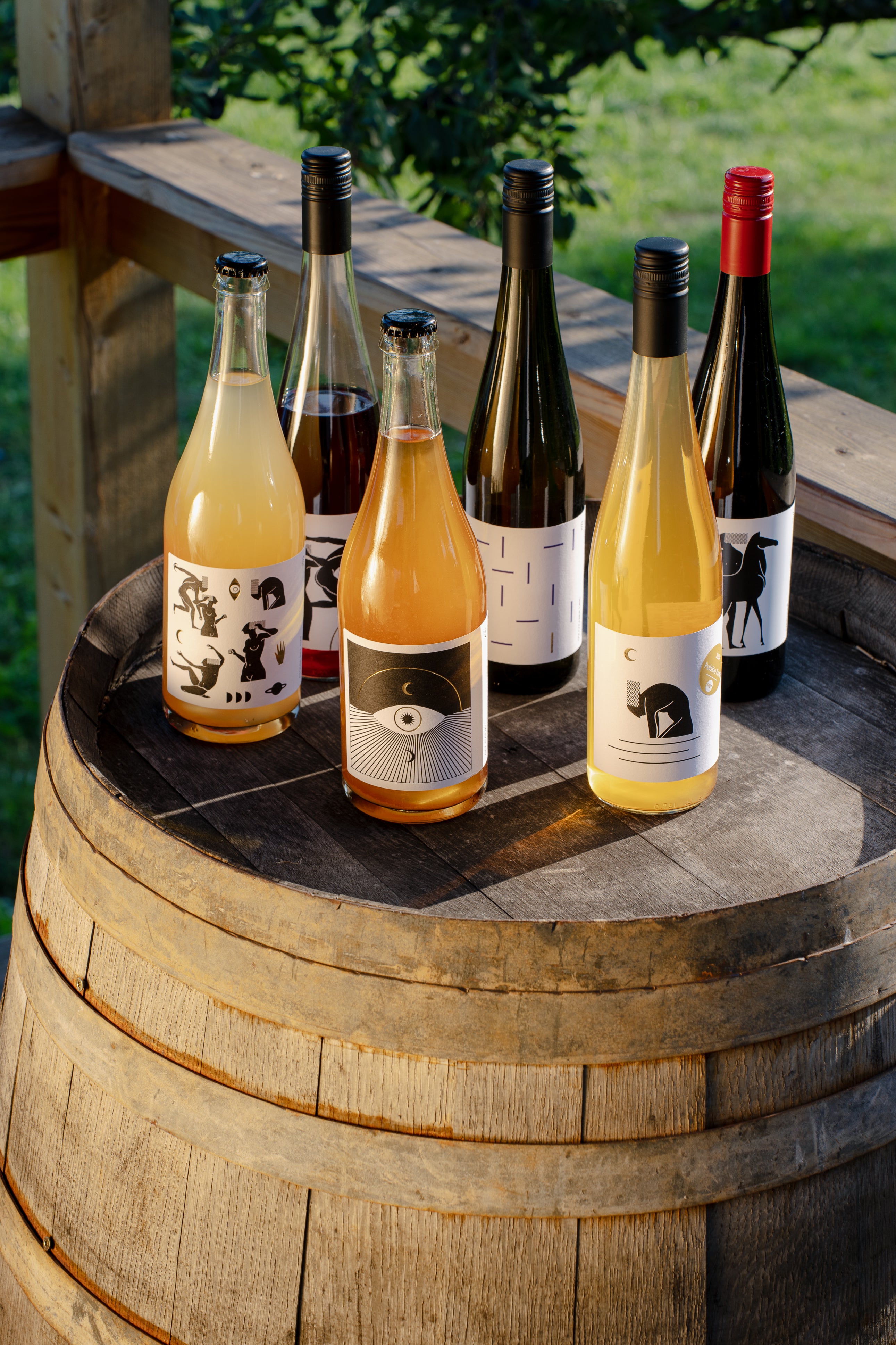 Zwiedzanie winnicy i degustacja win