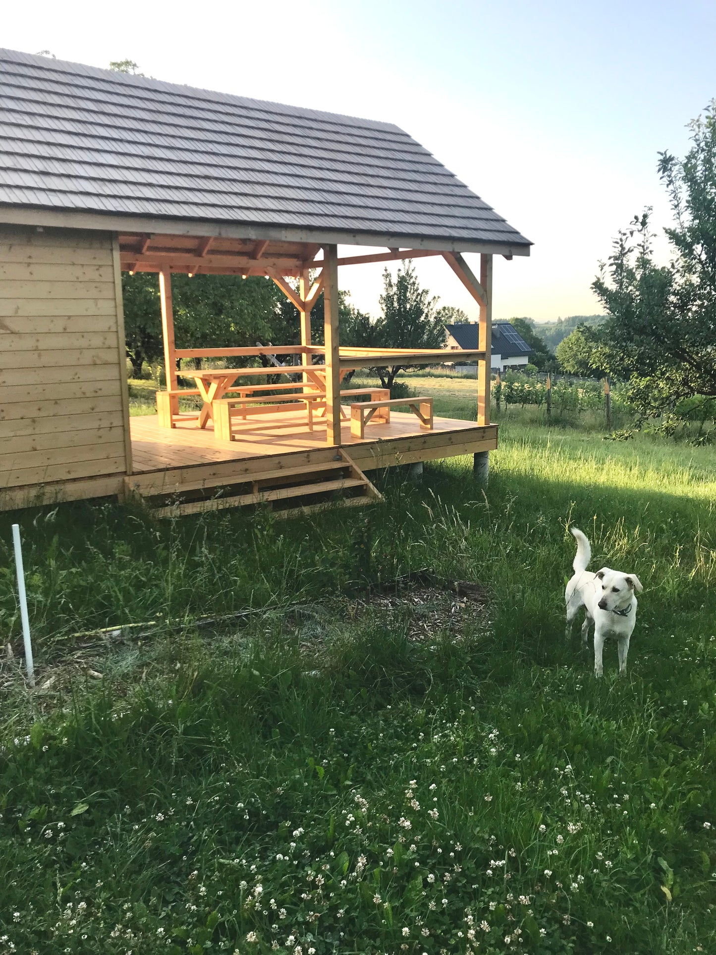 Zwiedzanie winnicy i degustacja win