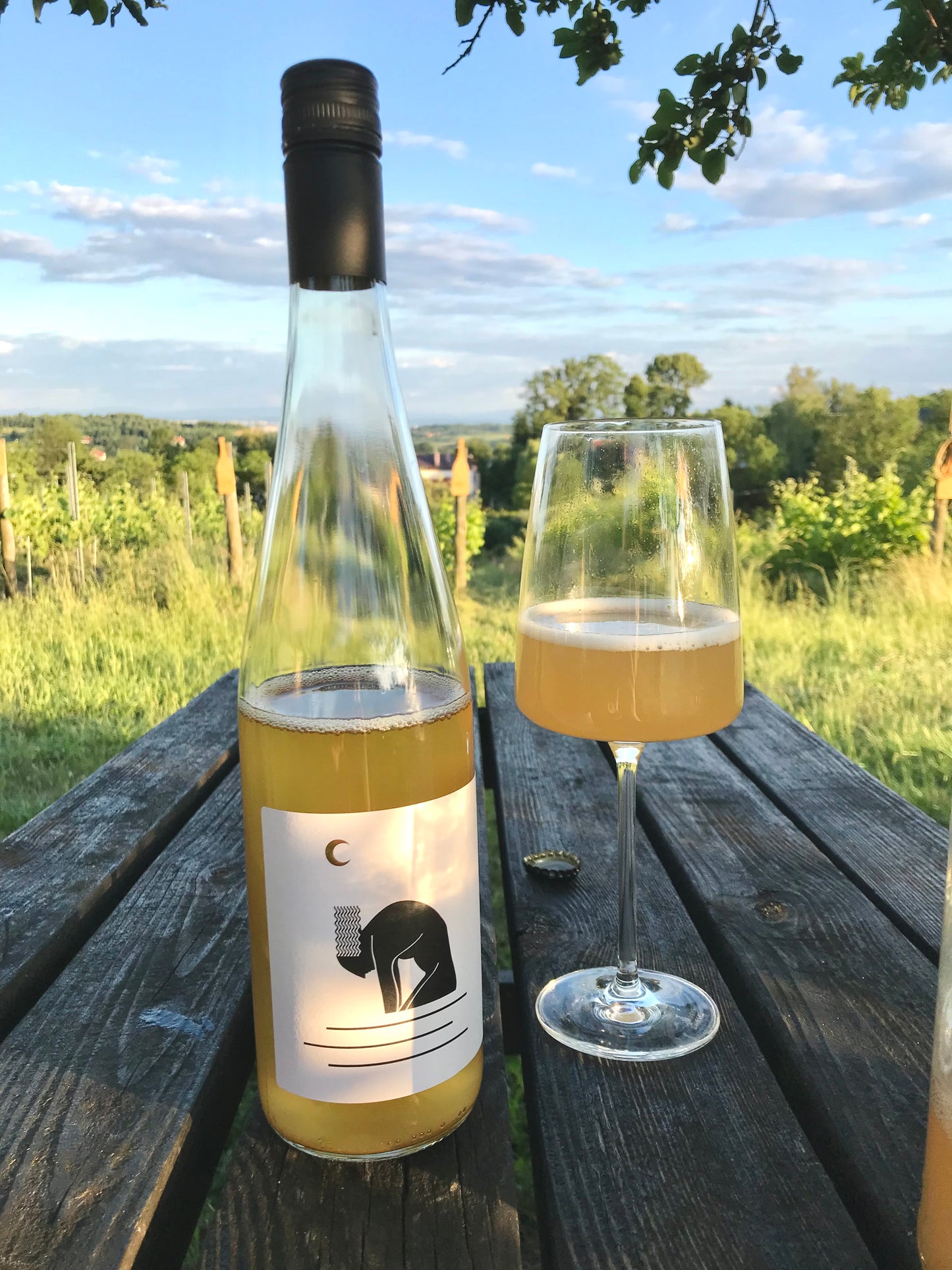 Zwiedzanie winnicy i degustacja win