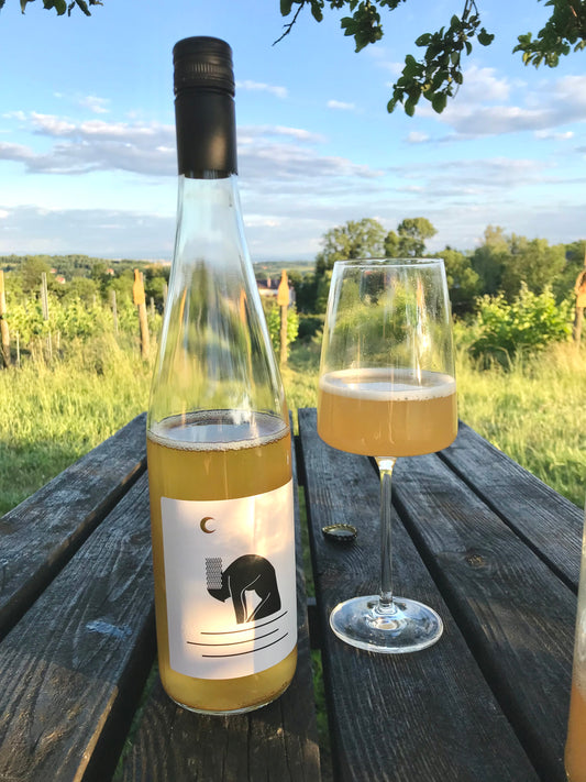 Zwiedzanie winnicy i degustacja win